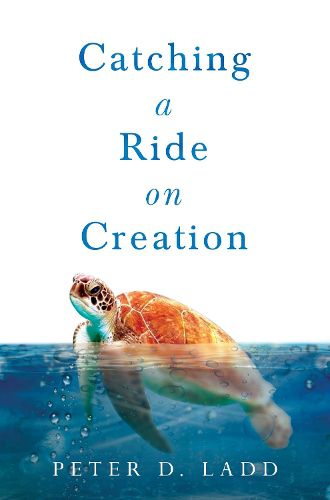 Cover image for Catching a Ride on Creation