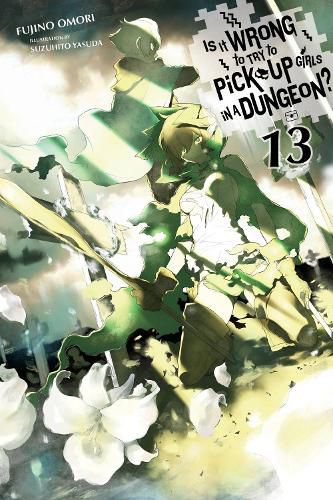 Cover image for Is It Wrong to Try to Pick Up Girls in a Dungeon?, Vol. 13 (light novel)