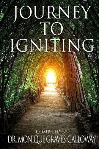 Cover image for Journey to Igniting