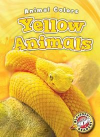 Cover image for Yellow Animals