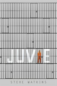 Cover image for Juvie