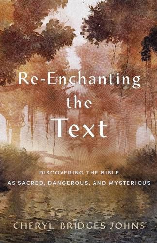 Cover image for Re-enchanting the Text: Discovering the Bible as Sacred, Dangerous, and Mysterious