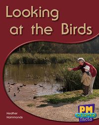 Cover image for Looking at the Birds