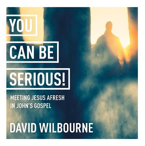 Cover image for You Can Be Serious! Meeting Jesus afresh in John's Gospel