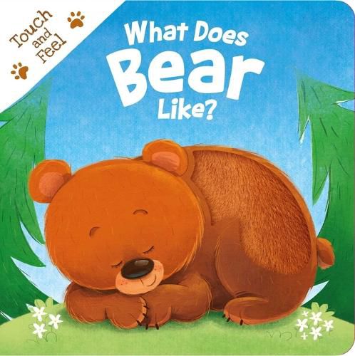 Cover image for What Does Bear Like?
