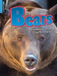 Cover image for Bears