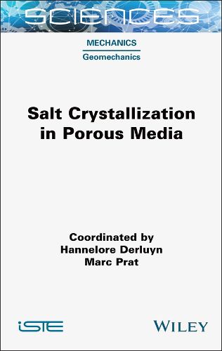 Salt Crystallization in Porous Media