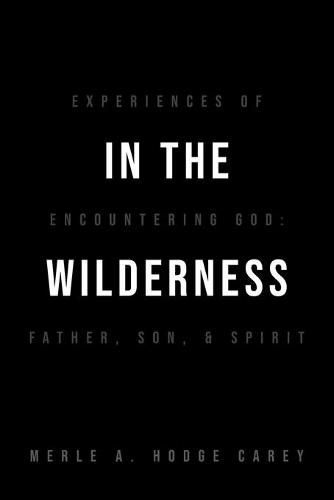 Cover image for In the Wilderness: Experiences of Encountering God: Father, Son, and Spirit