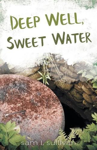 Cover image for Deep Well, Sweet Water