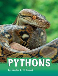 Cover image for Pythons