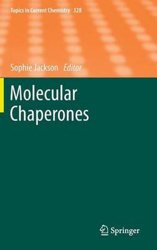 Cover image for Molecular Chaperones