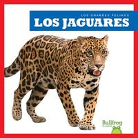 Cover image for Los Jaguares (Jaguars)