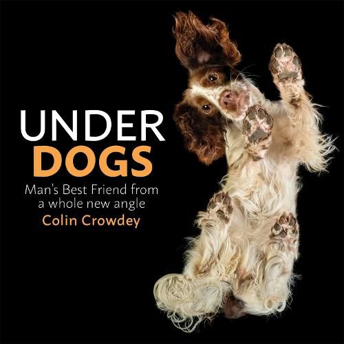 Cover image for Underdogs