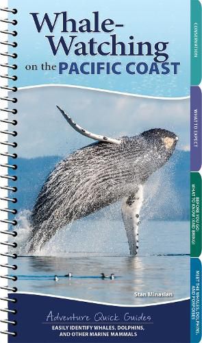 Cover image for Whale Watching on the Pacific Coast