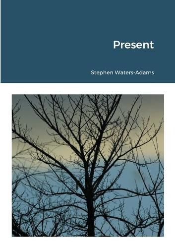 Cover image for Present