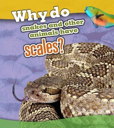 Cover image for Why Do Snakes and Other Animals Have Scales?