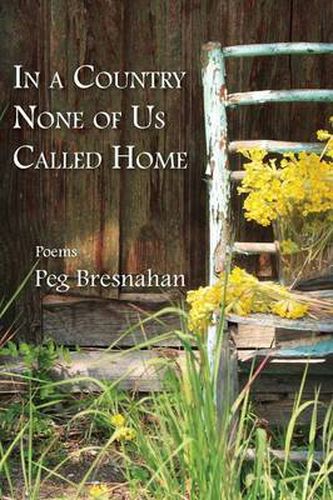 Cover image for In a Country None of Us Called Home