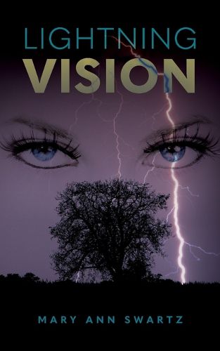 Cover image for Lightning Vision