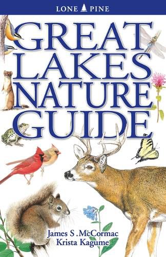 Cover image for Great Lakes Nature Guide