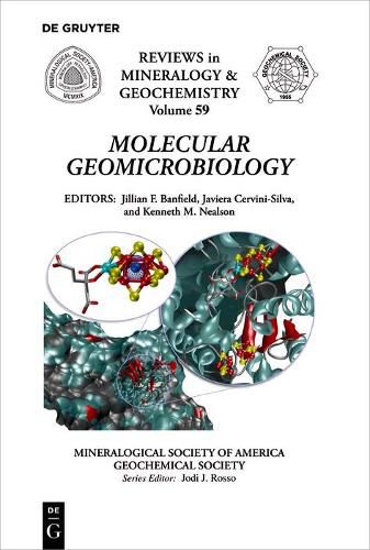 Cover image for Molecular Geomicrobiology