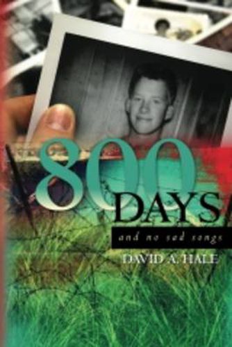 Cover image for 800 Days: And No Sad Songs