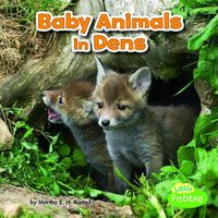 Cover image for Baby Animals in Dens (Baby Animals and Their Homes)