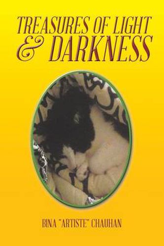 Cover image for Treasures of Light & Darkness