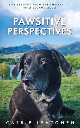 Cover image for Pawsitive Perspectives