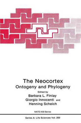 Cover image for The Neocortex: Ontogeny and Phylogeny