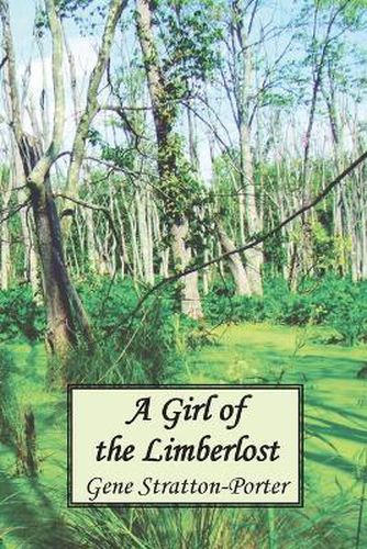 Cover image for A Girl of the Limberlost