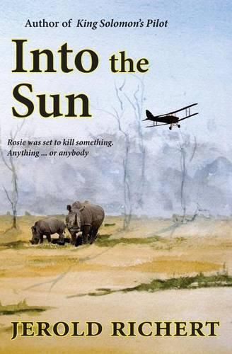 Cover image for Into the Sun: A Novel of Africa