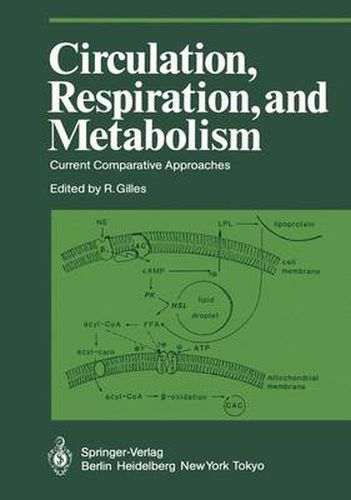 Cover image for Circulation, Respiration, and Metabolism: Current Comparative Approaches