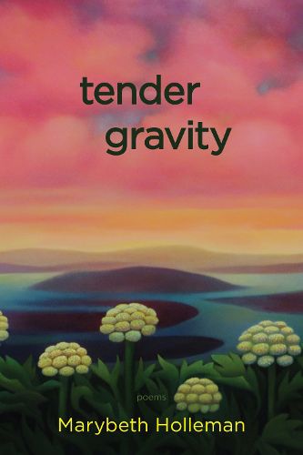 Cover image for tender gravity