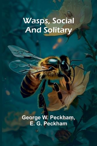 Cover image for Wasps, Social And Solitary