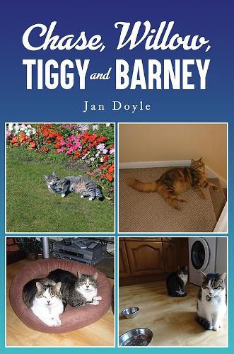 Cover image for Chase, Willow, Tiggy and Barney