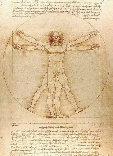 Cover image for Vitruvian Man Notebook