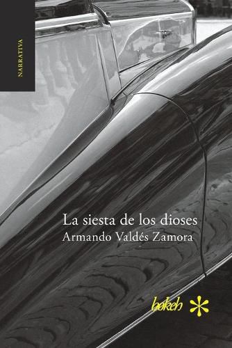 Cover image for La siesta de los dioses