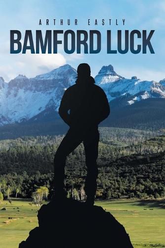 Cover image for Bamford Luck