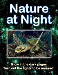 Cover image for Nature at Night