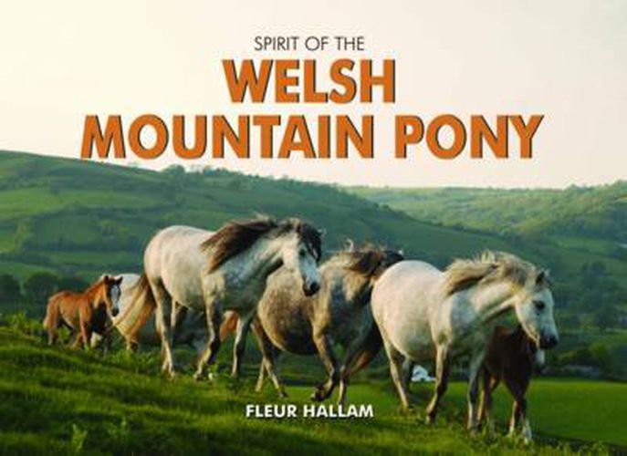 Cover image for Spirit of the Welsh Mountain Pony