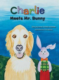 Cover image for Charlie Meets Mr. Bunny