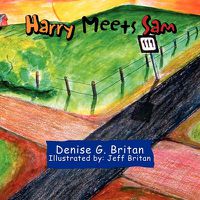 Cover image for Harry Meets Sam
