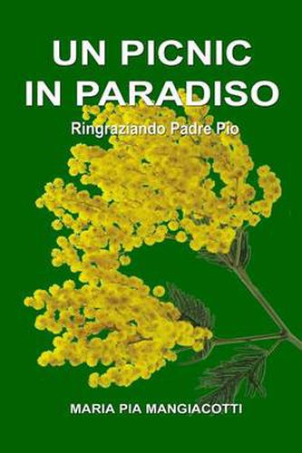 Cover image for Un picnic in Paradiso - Ringraziando Padre Pio