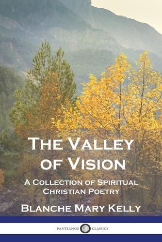 Cover image for The Valley of Vision