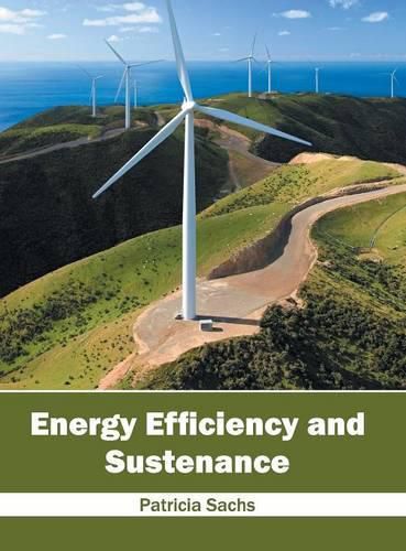 Cover image for Energy Efficiency and Sustenance