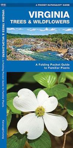 Cover image for Virginia Trees & Wildflowers: A Folding Pocket Guide to Familiar Plants