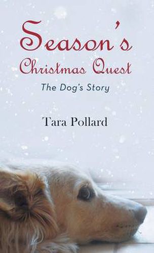 Cover image for Season's Christmas Quest