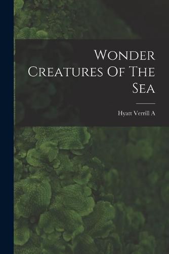 Cover image for Wonder Creatures Of The Sea