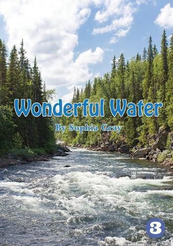 Cover image for Wonderful Water