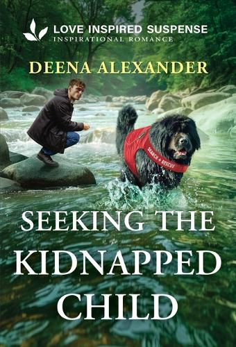 Cover image for Seeking the Kidnapped Child